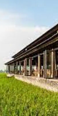 Afternoon Tea at The Chedi Club Ubud